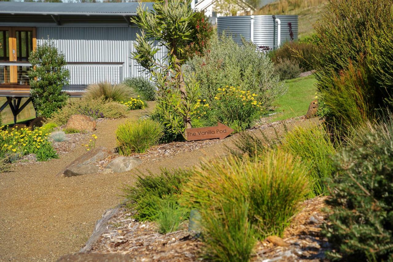 Hobart Hideaway Pods Acomodação com café da manhã Kingston Exterior foto